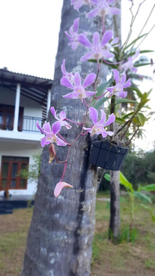 Mellow Villa Tangalle Kültér fotó